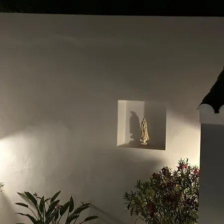 Casa E Vida *
