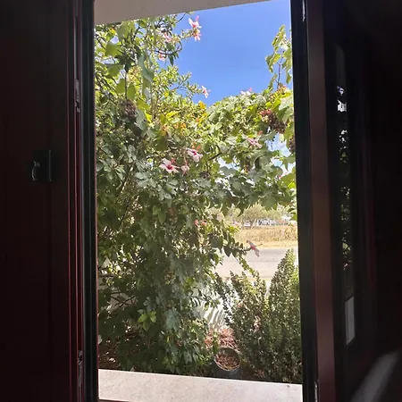 Casa é Vida * Vila Nova de Cacela